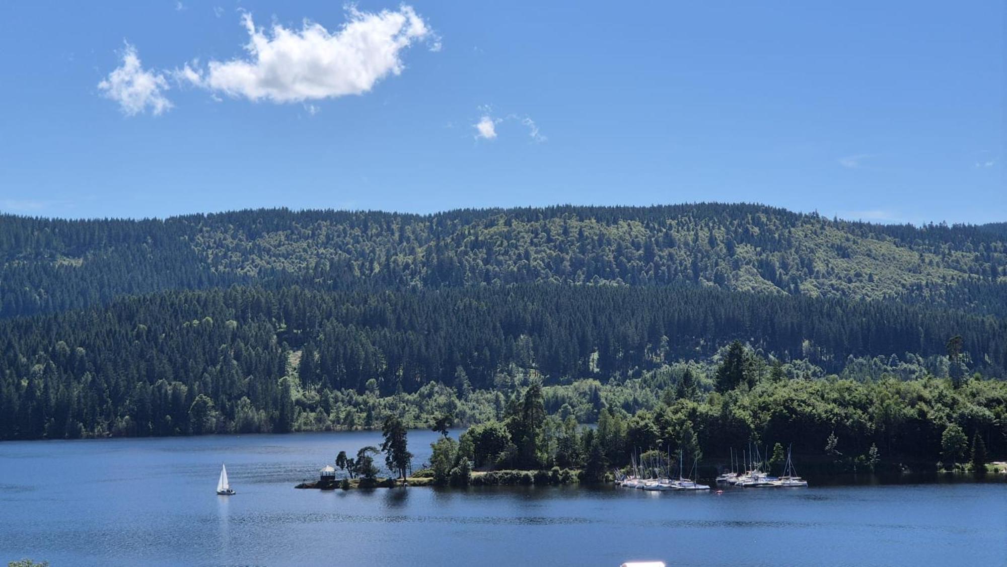 Chalet Schluchsee Ferienwohnung Eksteriør bilde
